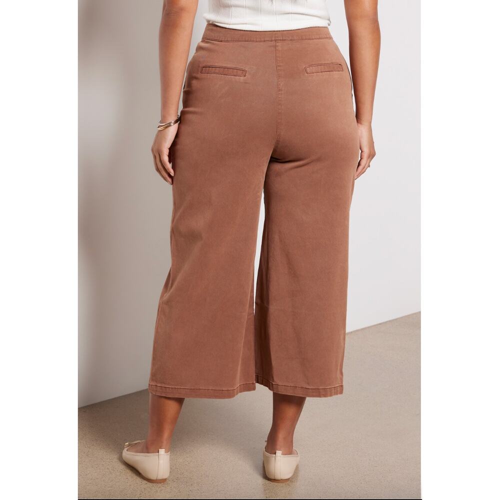 SPLENDID NWT Evereve Margaret Wide Leg Cropped Pant in Terracotta // XL - Picture 2 of 13